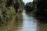 236-Delta del Danubio,7 agosto 2011
